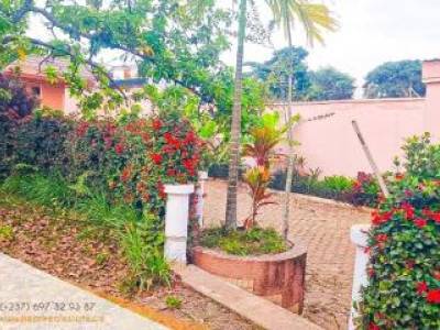Triplex 8 chambres avec grand jardin et vaste cour &agrave; Bastos, Yaounde